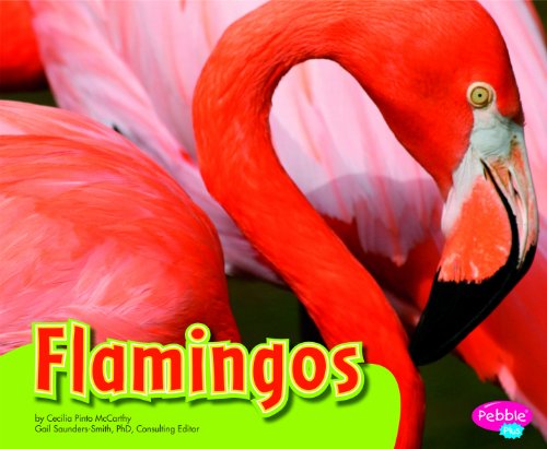 Stock image for Flamingos (Colorful World of Animals) for sale by mountain