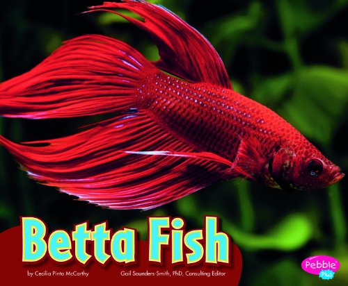 Stock image for Betta Fish (Colorful World of Animals) for sale by SecondSale