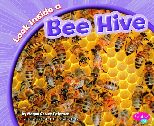 Stock image for Look Inside a Bee Hive for sale by Better World Books