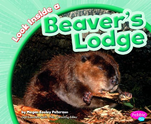 9781429660761: Look Inside a Beaver's Lodge (Pebble Plus)