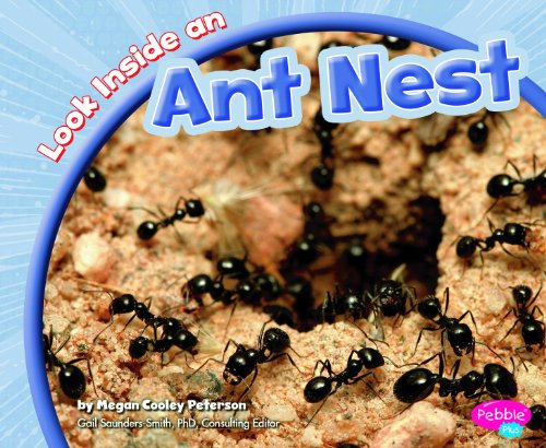 Beispielbild fr Look Inside an Ant Nest zum Verkauf von Better World Books