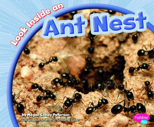 Stock image for Look Inside an Ant Nest for sale by Better World Books