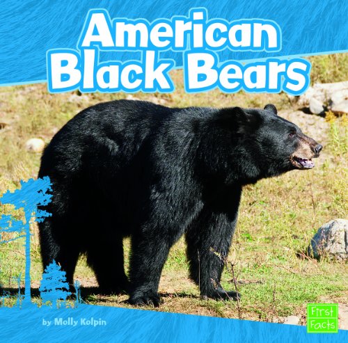 Imagen de archivo de American Black Bears a la venta por Better World Books: West