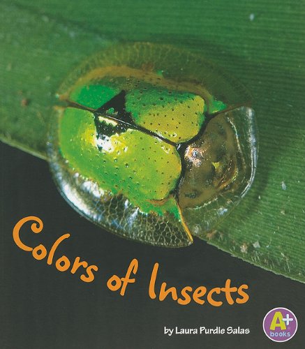 Colors of Insects (Colors All Around)