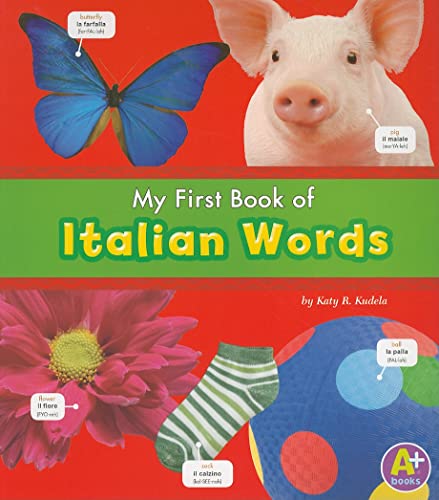 Stock image for My First Book of Italian Words (Bilingual Picture Dictionaries) (English and Italian Edition) for sale by Wonder Book