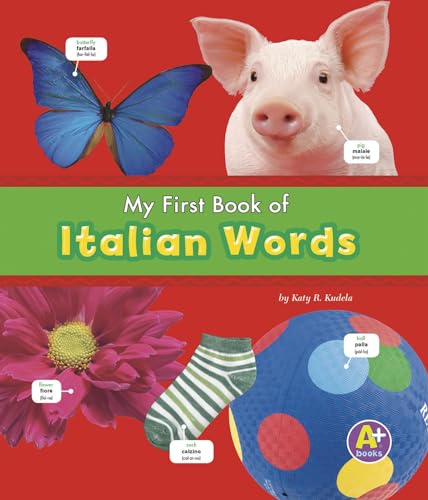 Stock image for My First Book of Italian Words (Bilingual Picture Dictionaries) (English and Italian Edition) for sale by SecondSale