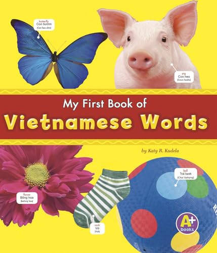 Stock image for Myfirst Book of Vietnamese Words Bilingual Picture Dictionaries for sale by PBShop.store US