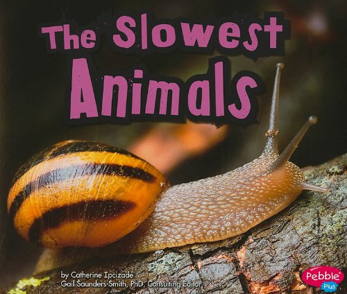 Stock image for The Slowest Animals for sale by Better World Books: West