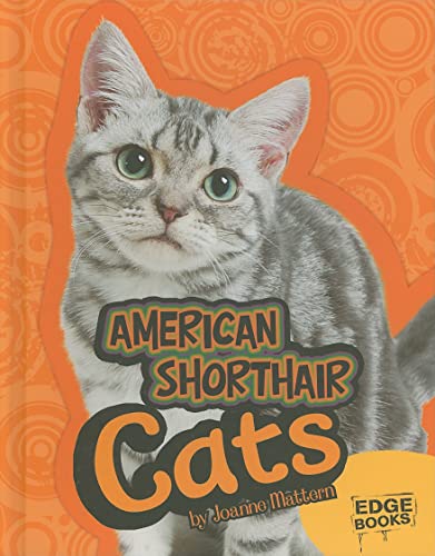 Imagen de archivo de American Shorthair Cats a la venta por ThriftBooks-Dallas