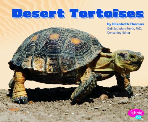 Desert Tortoises (Reptiles)