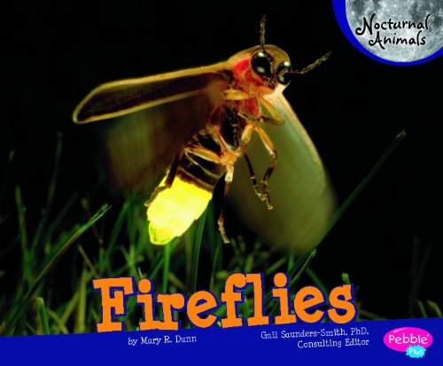 Stock image for Fireflies (Pebble Plus: Nocturnal Animals) for sale by Ergodebooks