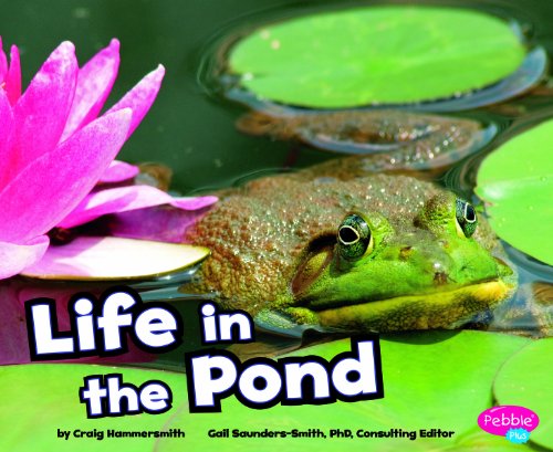 Imagen de archivo de Life in the Pond a la venta por ThriftBooks-Atlanta