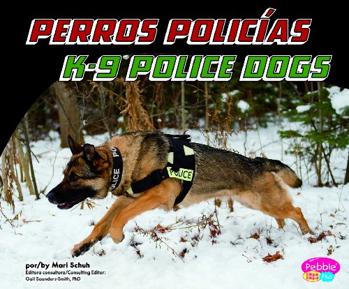 Beispielbild fr Perros policias / K-9 Police Dogs (Pebble Plus Bilingual) (Spanish and English Edition) zum Verkauf von Irish Booksellers