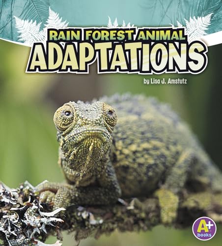 9781429670340: Rainforest Animal Adaptions (Amazing Animal Adaptions)  (Amazing Animal Adaptations) - Amstutz, Lisa: 1429670347 - AbeBooks
