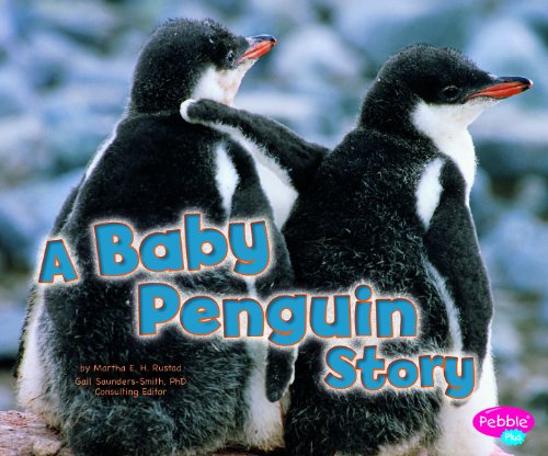 9781429670920: A Baby Penguin Story (Baby Animals)