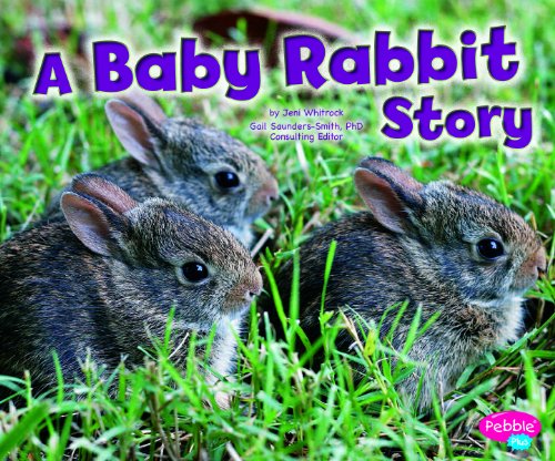 Beispielbild fr A Baby Rabbit Story zum Verkauf von Better World Books