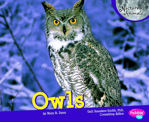 9781429671194: Owls (Pebble Plus: Nocturnal Animals)