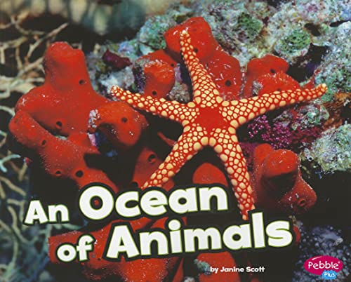 Beispielbild fr An Ocean of Animals zum Verkauf von Better World Books
