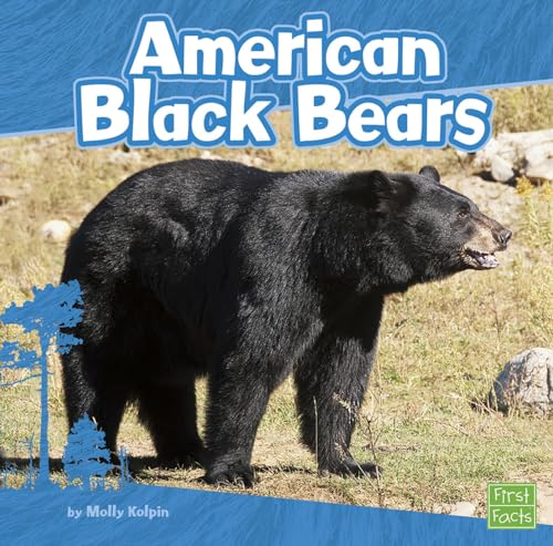 Imagen de archivo de American Black Bears a la venta por Orion Tech