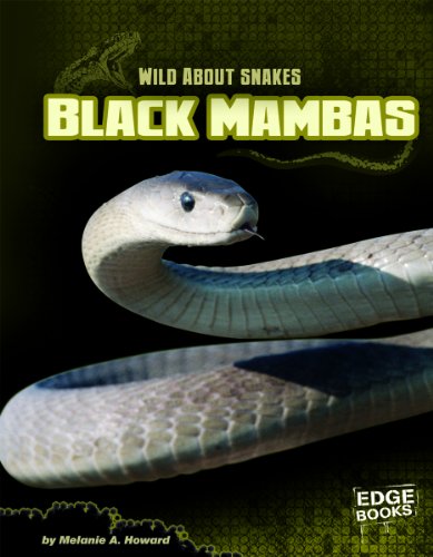 Imagen de archivo de Black Mambas (Wild about Snakes) a la venta por Mispah books