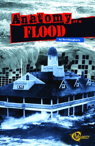 Beispielbild fr Anatomy of a Flood zum Verkauf von Better World Books