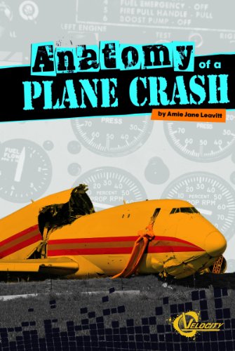 9781429673617: Anatomy of a Plane Crash
