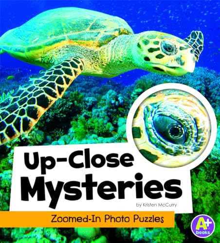 Beispielbild fr Up-Close Mysteries : Zoomed-In Photo Puzzles zum Verkauf von Better World Books