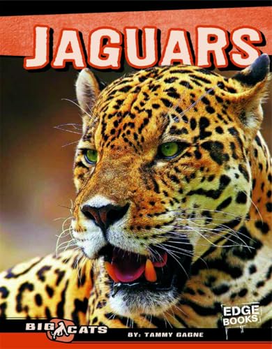 9781429676427: Jaguars