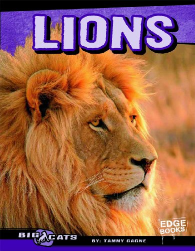 Imagen de archivo de Lions a la venta por Better World Books