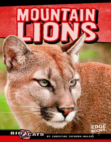 Beispielbild fr Mountain Lions zum Verkauf von Better World Books