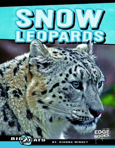 Imagen de archivo de Snow Leopards a la venta por ThriftBooks-Atlanta