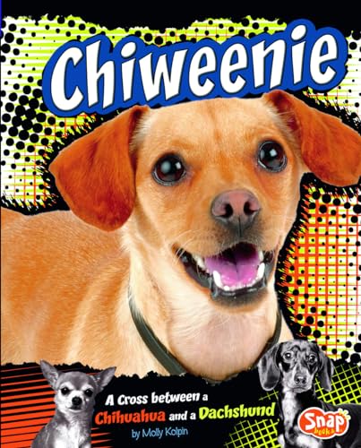 Beispielbild fr Chiweenie : A Cross Between a Chihuahua and a Dachshund zum Verkauf von Better World Books