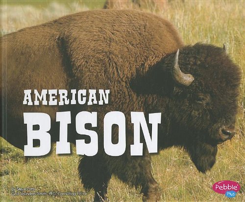 Imagen de archivo de American Bison a la venta por Better World Books