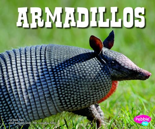 Beispielbild fr Armadillos zum Verkauf von Better World Books