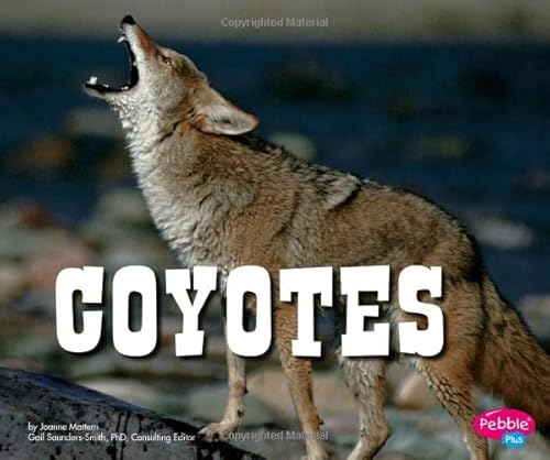 Imagen de archivo de Coyotes a la venta por ThriftBooks-Atlanta