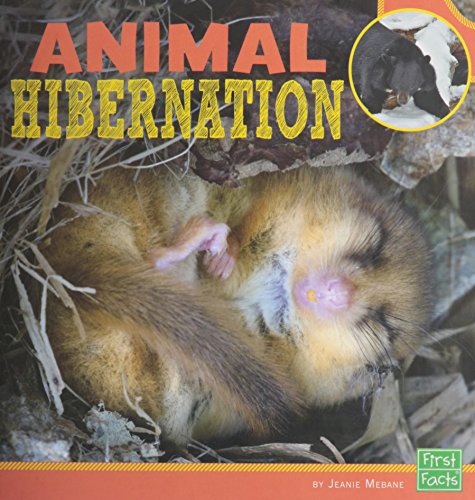 Stock image for Animal Hibernation for sale by Better World Books
