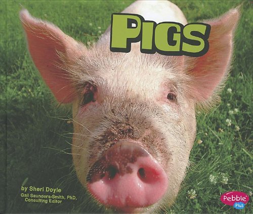 Stock image for Pigs for sale by ThriftBooks-Dallas