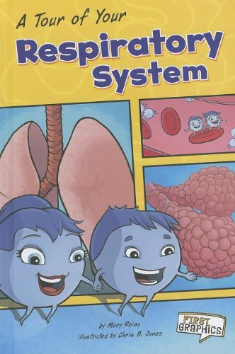 Stock image for A Tour of Your Respiratory System (First Graphics Body Systems) for sale by Irish Booksellers