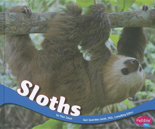 Sloths (South American Animals) (9781429686808) by Schuh, Mari