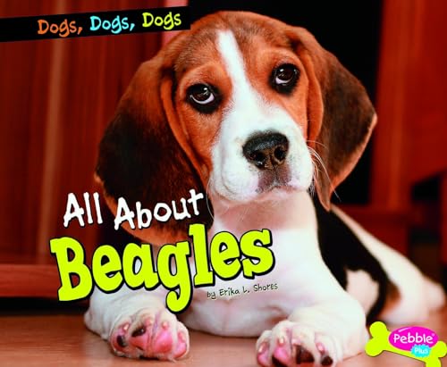 9781429687225: All About Beagles