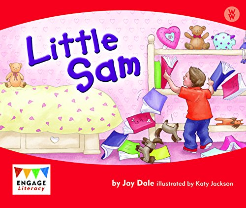 9781429689007: Little Sam
