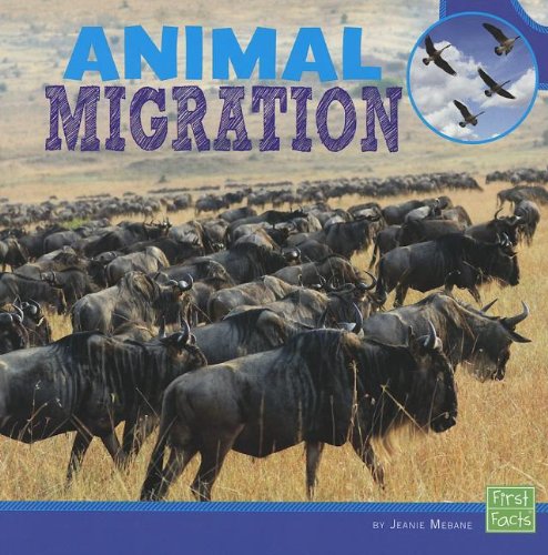 Stock image for Animal Migration for sale by Better World Books