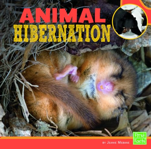 9781429693103: Animal Hibernation (Learn about Animal Behavior)