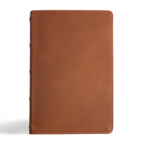 Beispielbild fr CSB Men's Daily Bible, Brown Genuine Leather zum Verkauf von Blackwell's