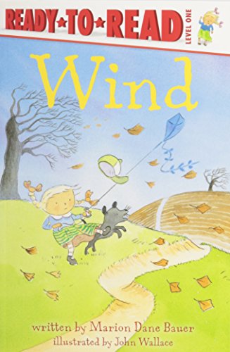 9781430108313: Wind (Ready-to-Read: Level 1)
