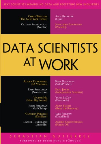 Imagen de archivo de Data Scientists at Work a la venta por Better World Books