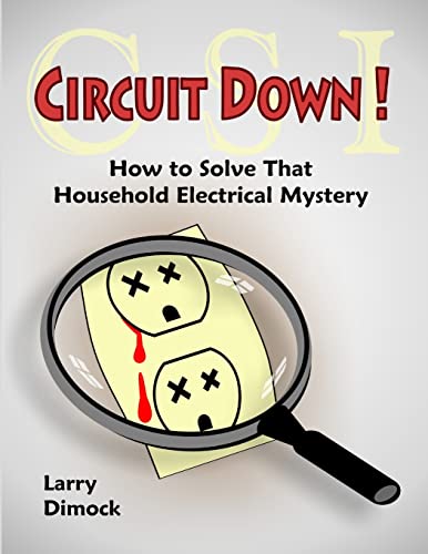 9781430313076: Circuit Down