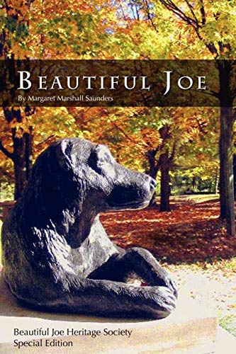 Beispielbild fr Beautiful Joe zum Verkauf von Wonder Book