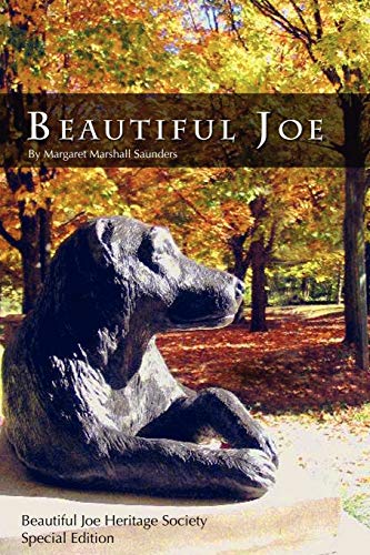 Stock image for Beautiful Joe for sale by Wonder Book