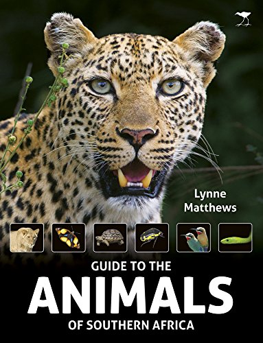 9781431423293: The Guide to the Animals of Southern Africa